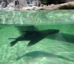 images (35)